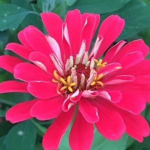 Meet your Posher, Hilary